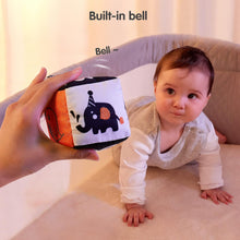 Interactive Black & White Shapes Rattle Toy For Kids