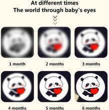 Sensory Panda Soft Cloth Book For Babies