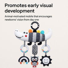 Montessori Baby Black & White Stroller Toy